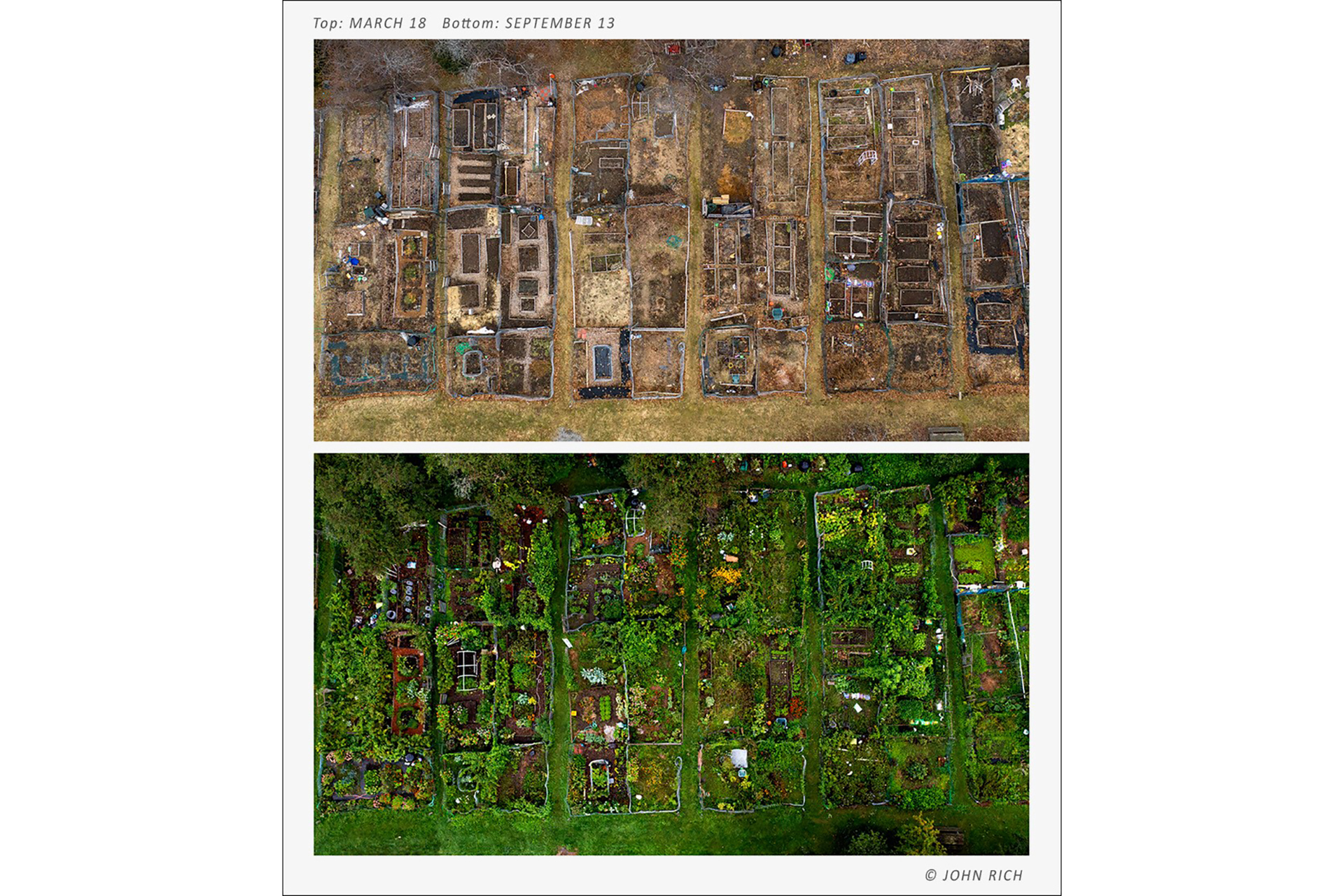 Two pictures of community gardens from a drone, the top taken on March 18 and the bottom on September 13