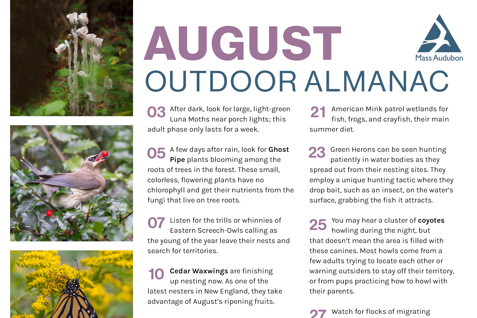 preview of outdoor almanac