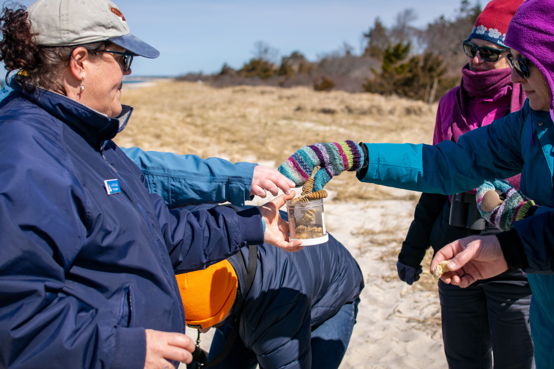 A group of people collect sea whelks at Coastal Habitats Natural Training at Long Pasture.