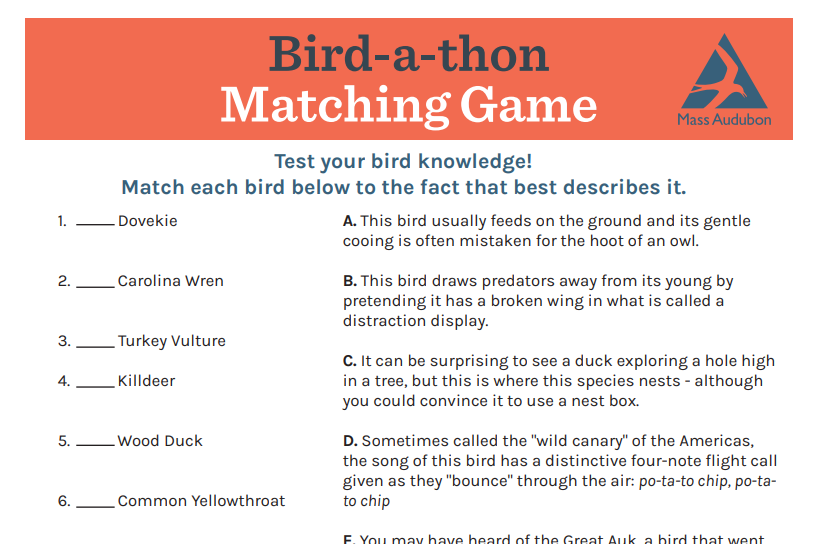 Graphic of the Matching Game