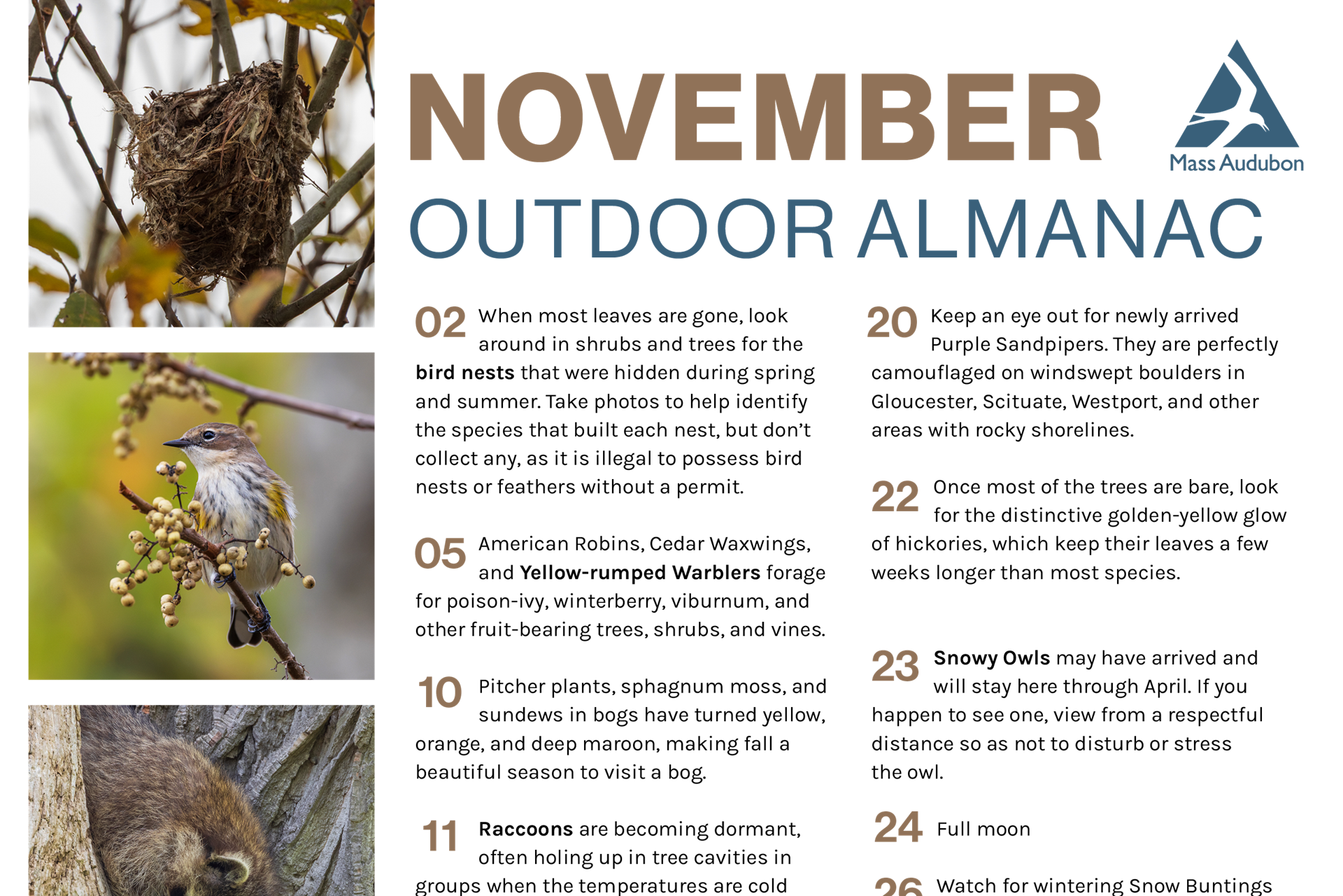 Almanac preview