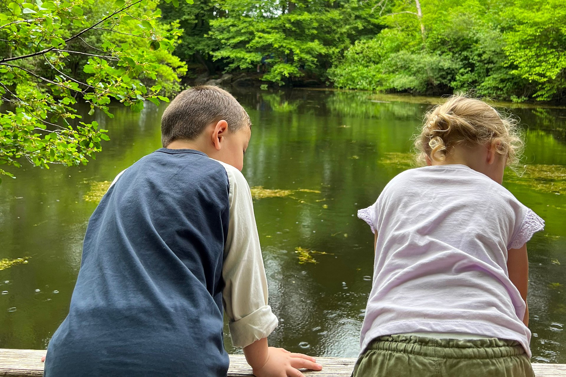 Two preschoolers looking out over a pond