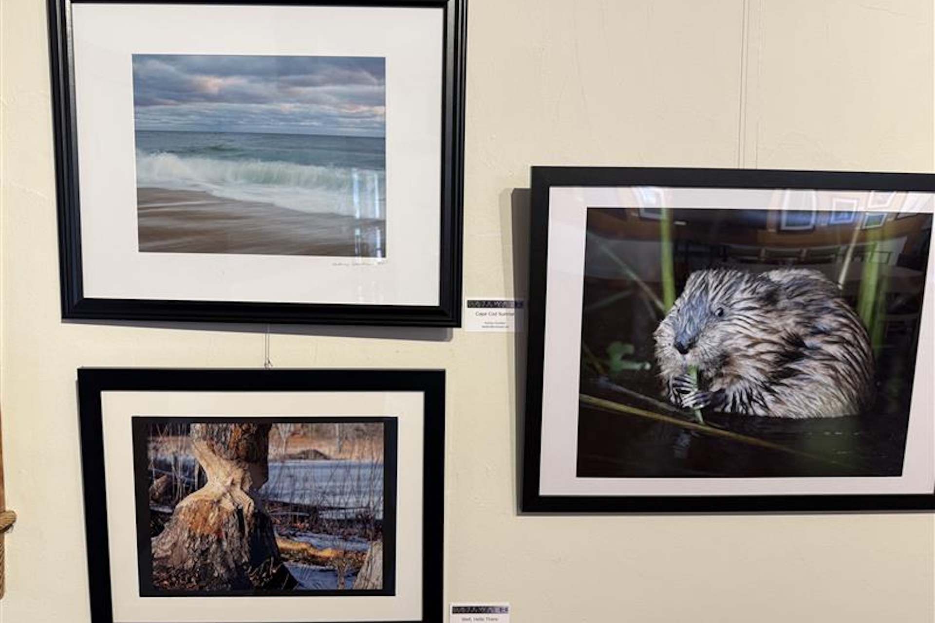 Three framed pieces hanging in the gallery
