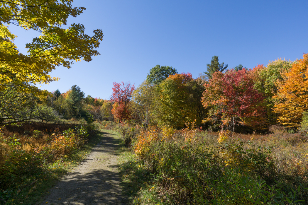 Trail at High Ledges in Fall