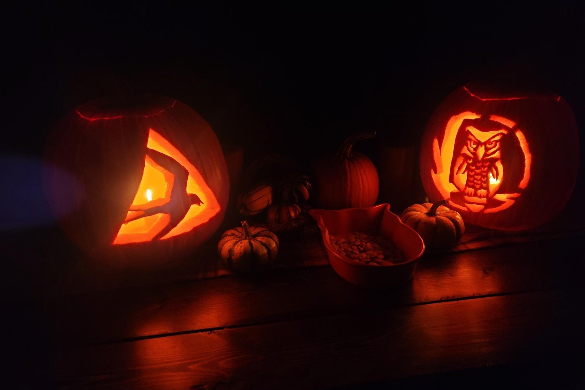 Two pumpkins carved with the Mass Audubon Logo and Owl
