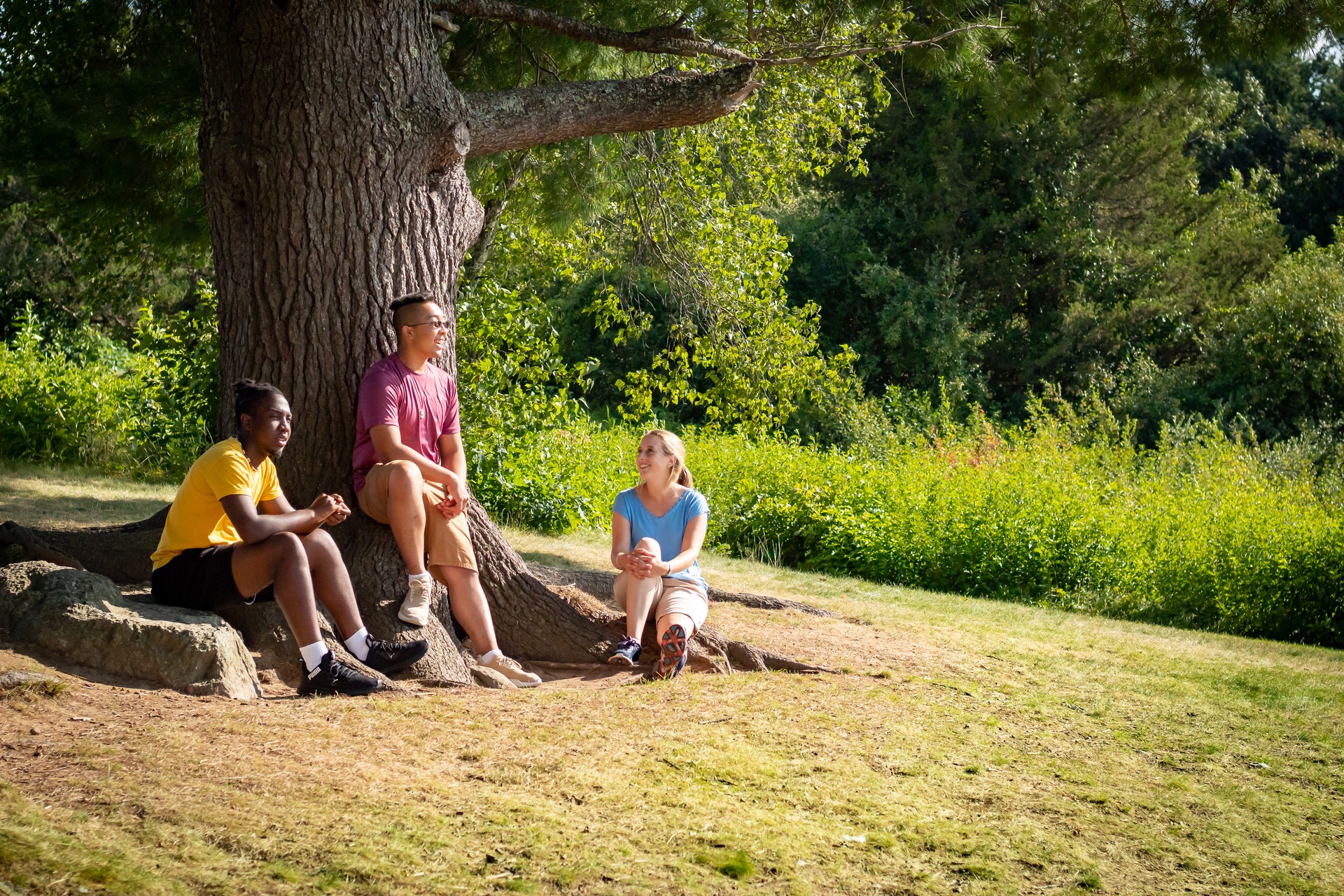 three adults under tree
