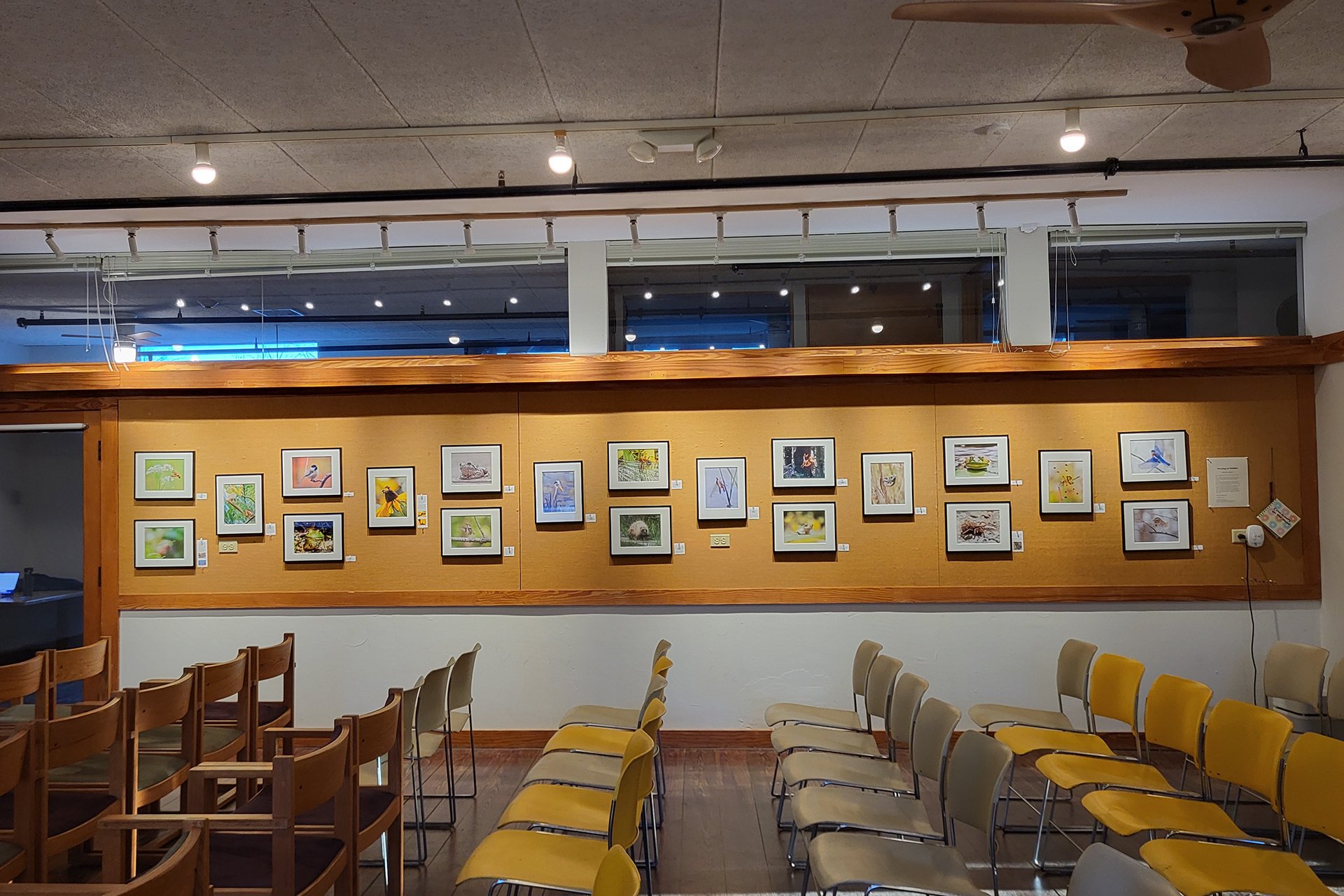 Framed photographs on display on the wall in the gallery at Broadmoor Wildlife Sanctuary.