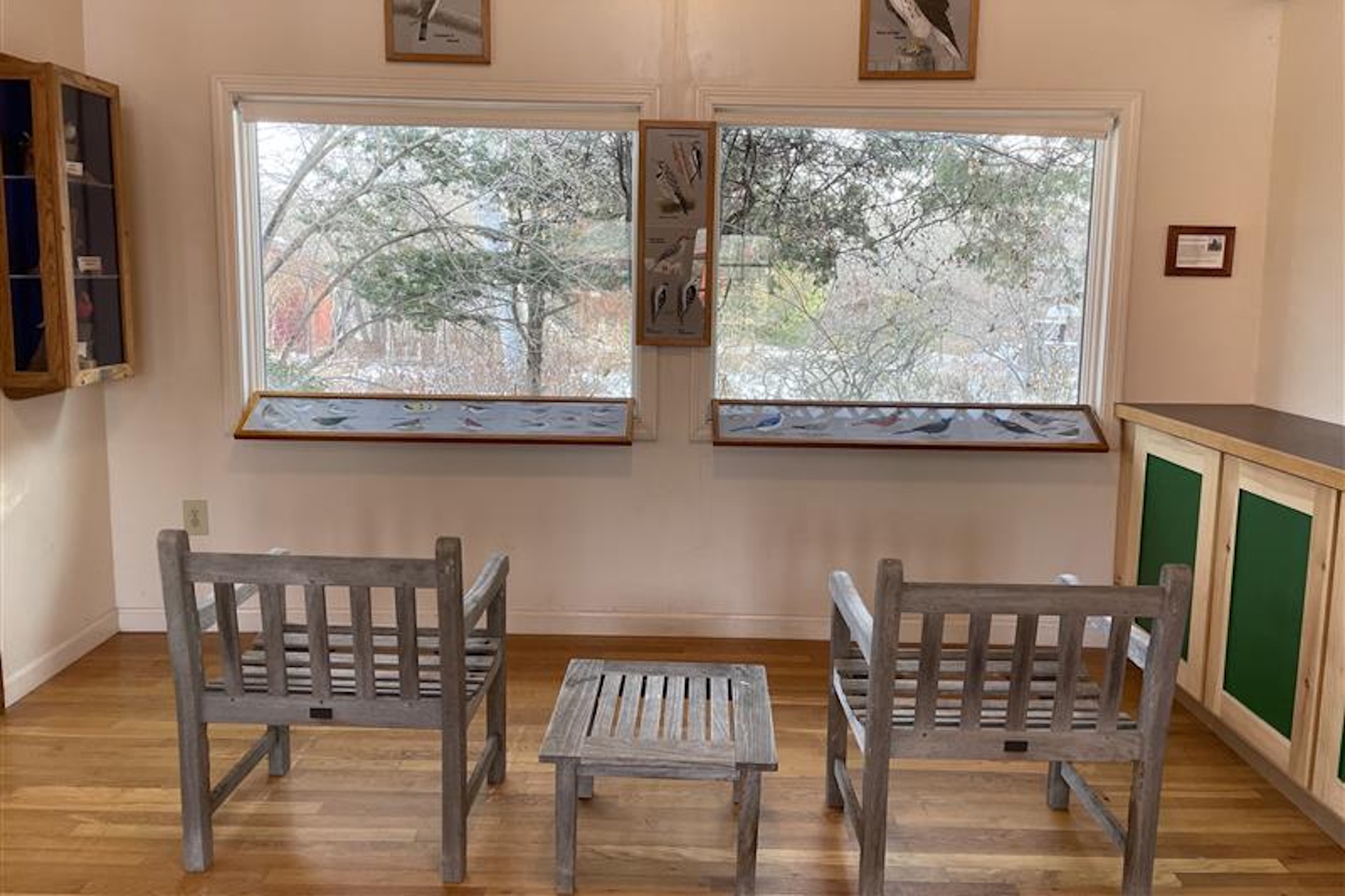 Chairs set up in front of two large windows in the nature center