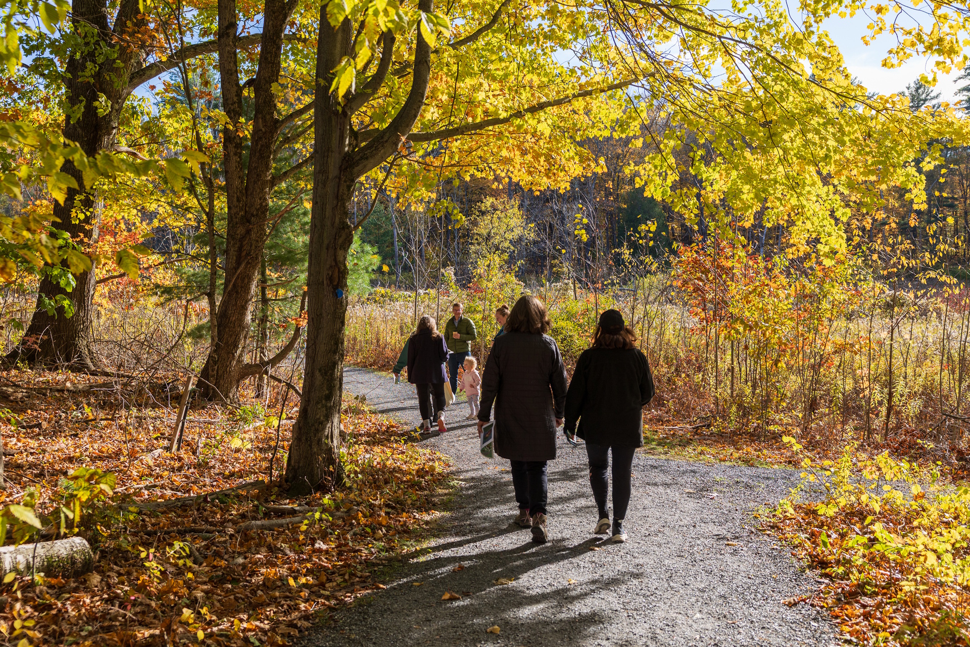 Several people walking along the All Persons Trail in autumn