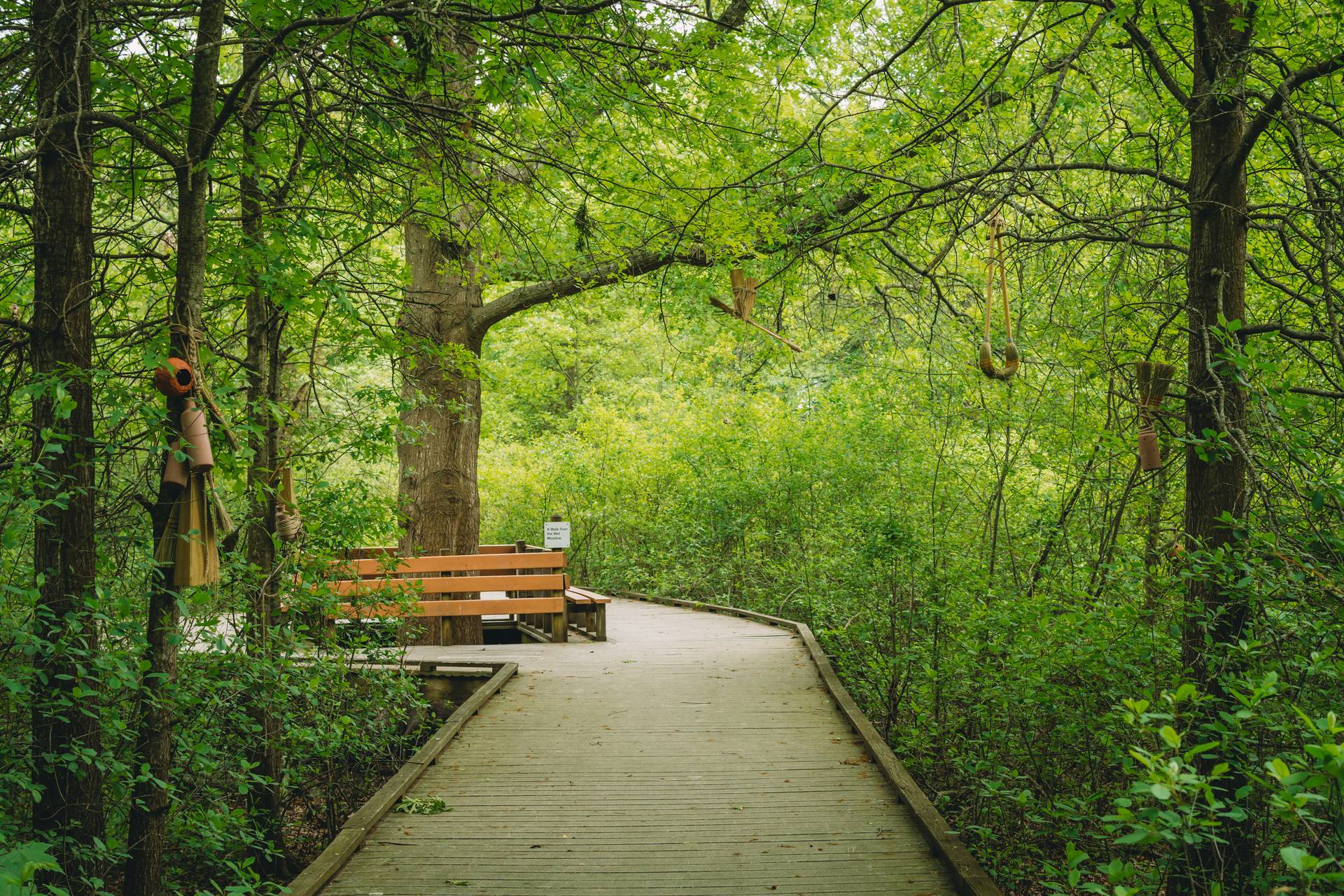 Laura Lima’s art installation, ‘An Indistinct Form,’ on display on the trail at Boston Nature Center. Sculptures habitable by animals hang from the trees over the boardwalk.