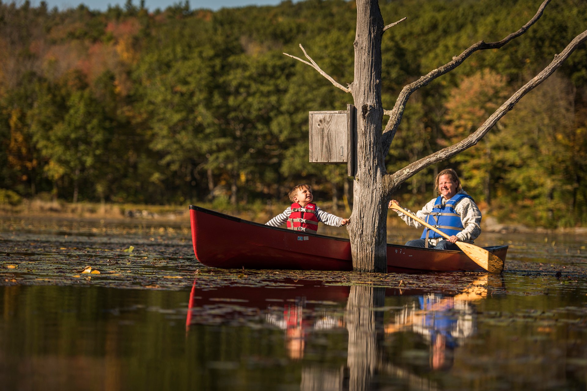 Mom and son in a canoe exploring an empty nest box