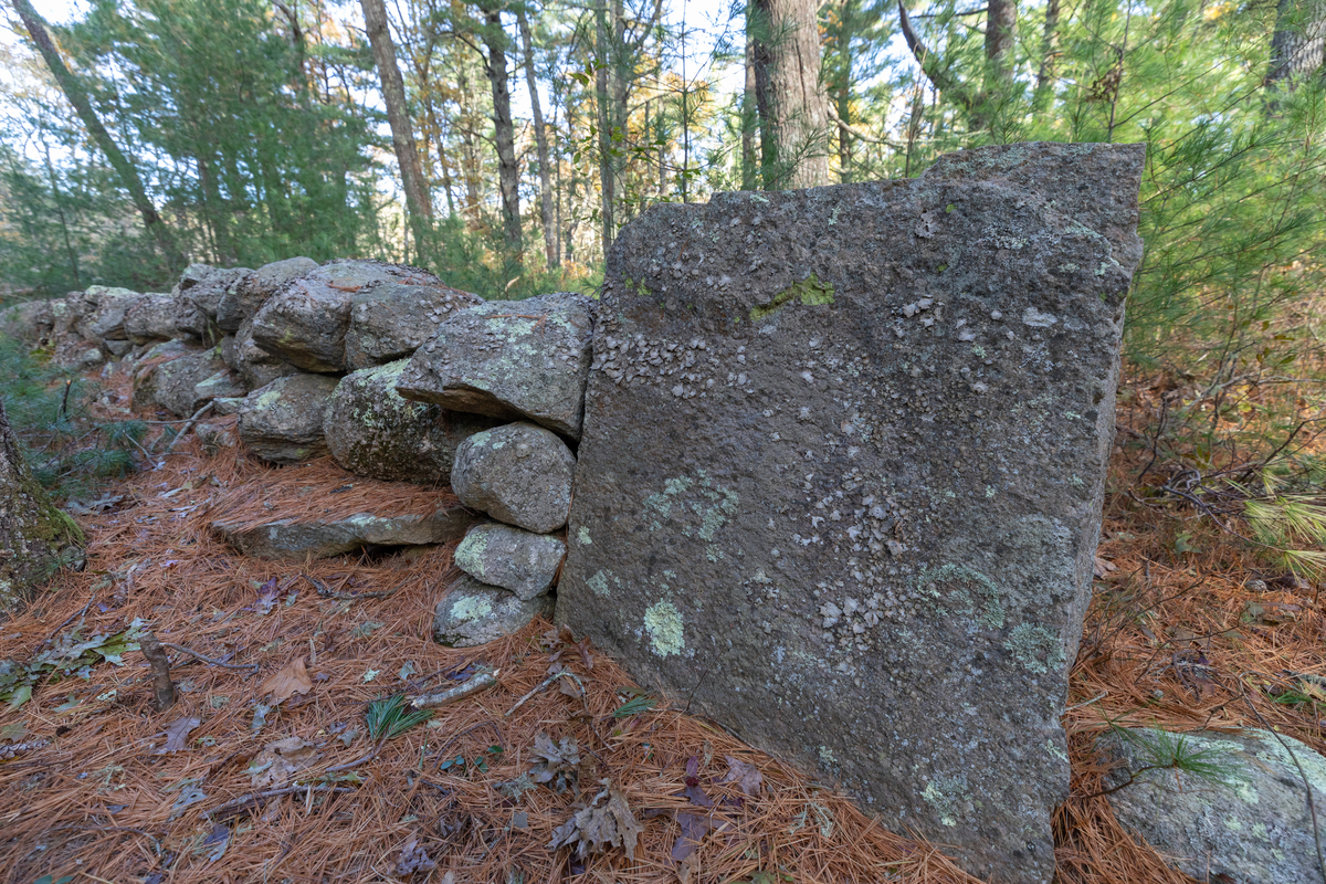 One large, square rock at the end of a rock wall running through the forest. The ground is covered with browning pine needles.