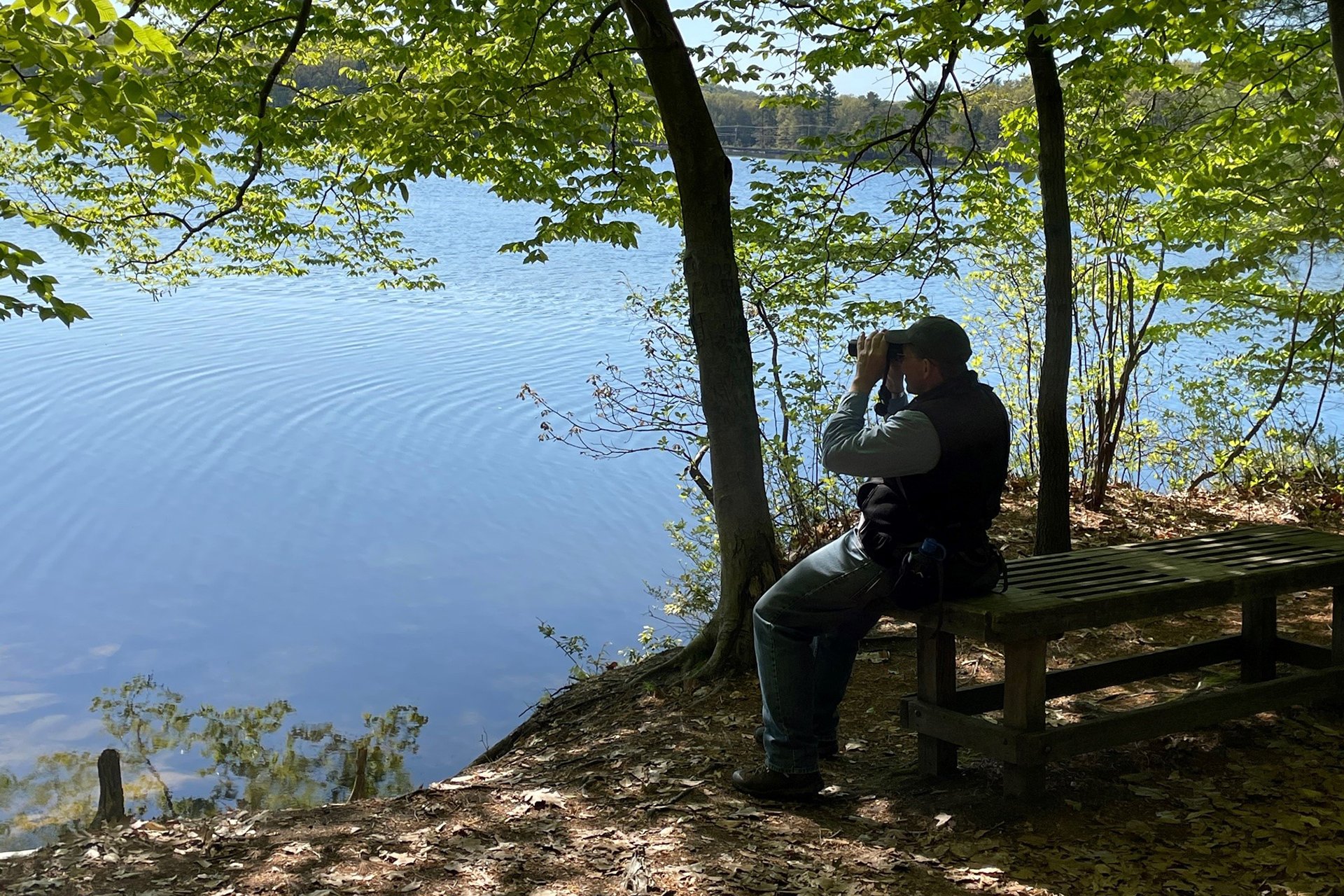 Man sitting on a bench looking through binoculars out over a lake
