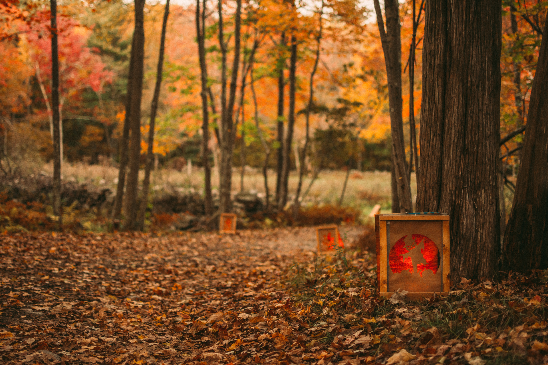 Lanterns glow along a leaf-strewn trail in fall.