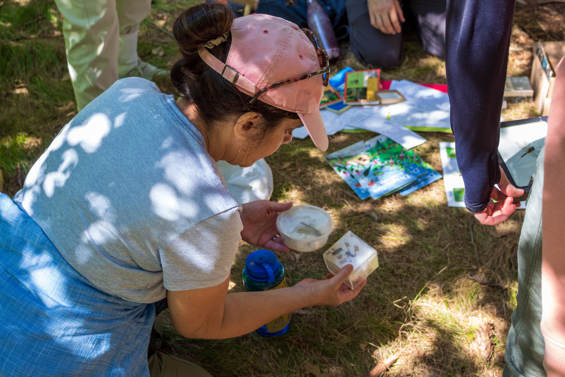 a woman crouches on the ground looking at a box with bugs in it