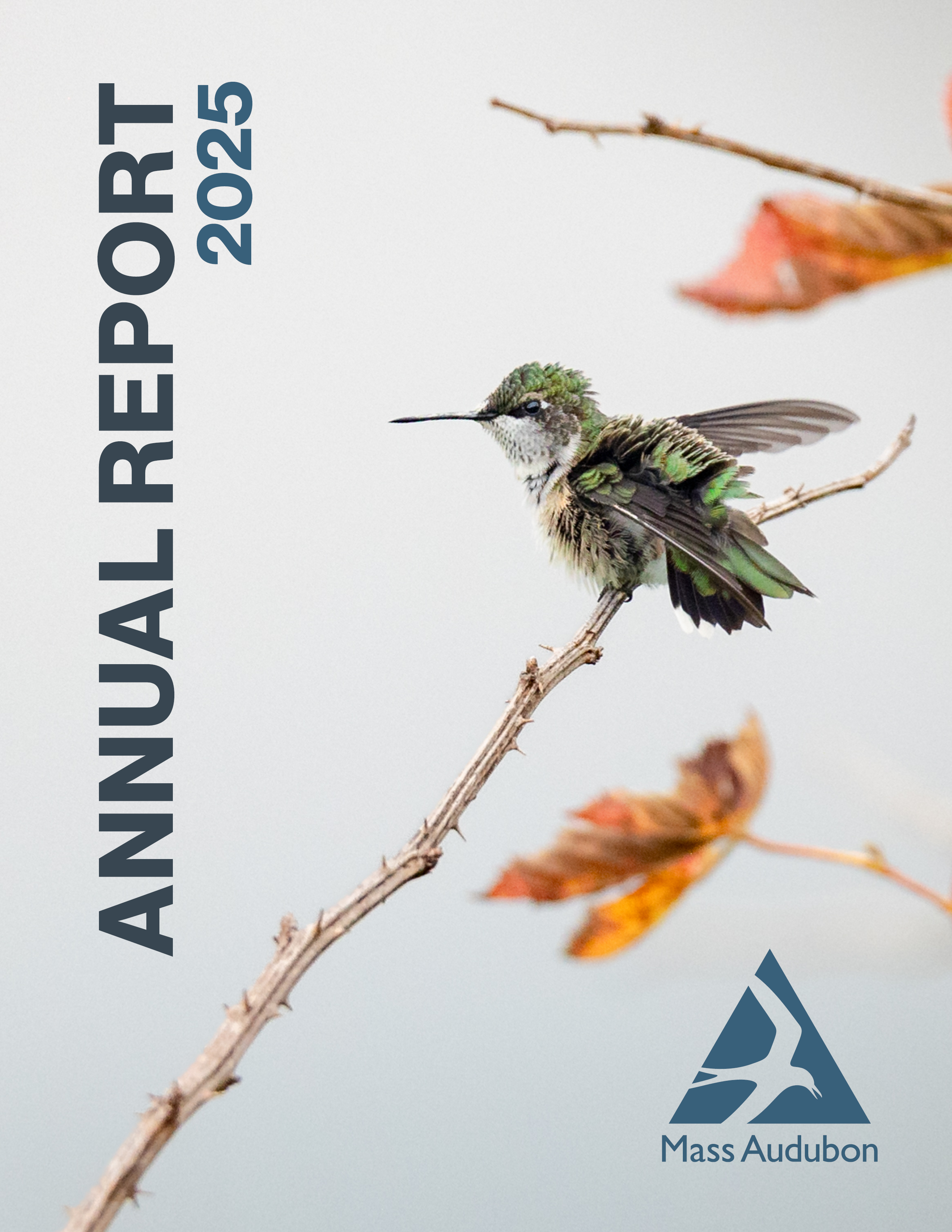 Cover image of Annual Report 2025 with Image of a Ruby-throated Hummingbird on a Stick