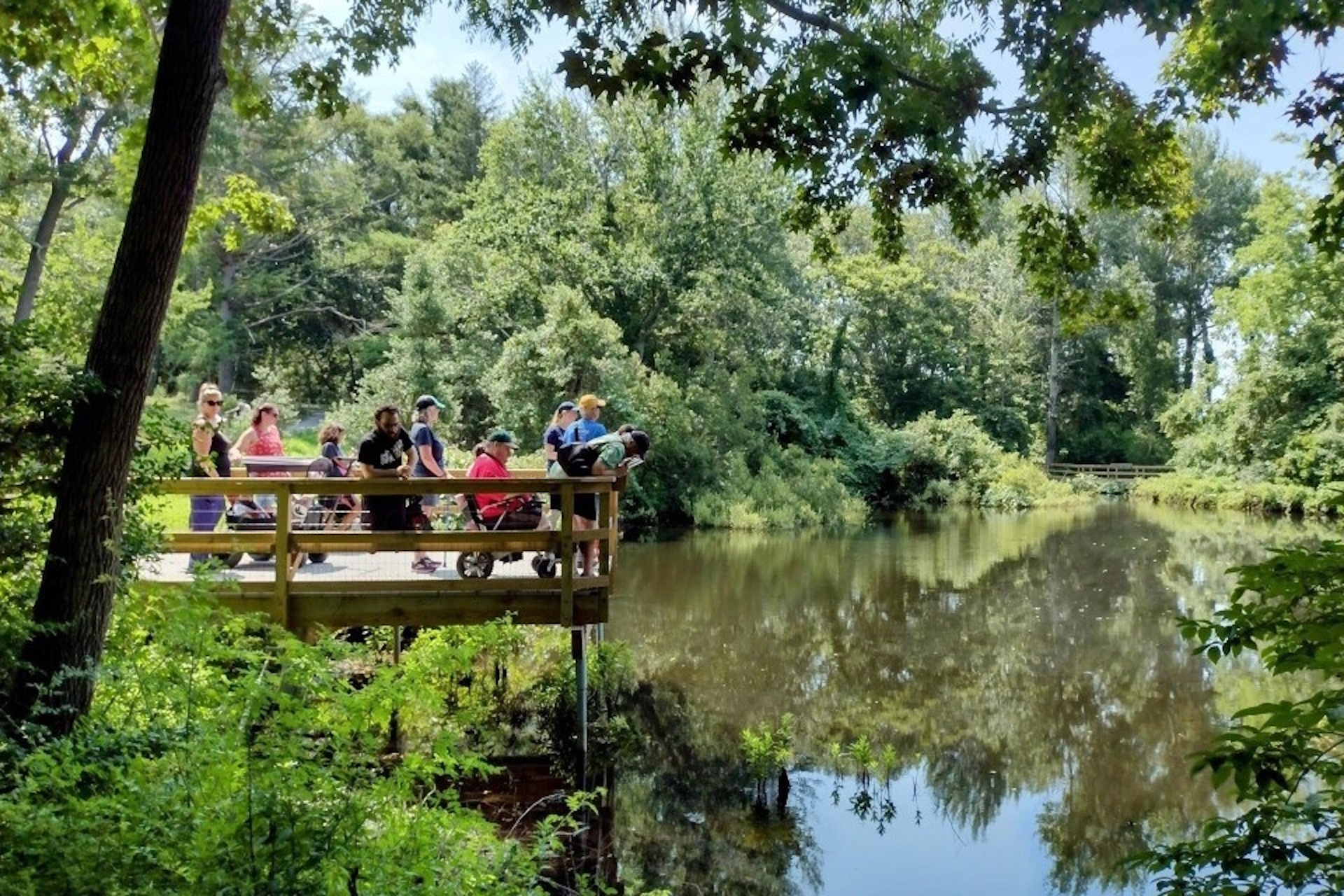 A group of people on the boardwalk along Long Pasture's All Persons Trail