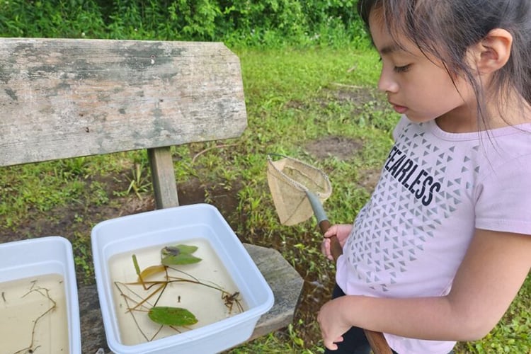 Camper inspecting a sample of pond water and fauna in a bin