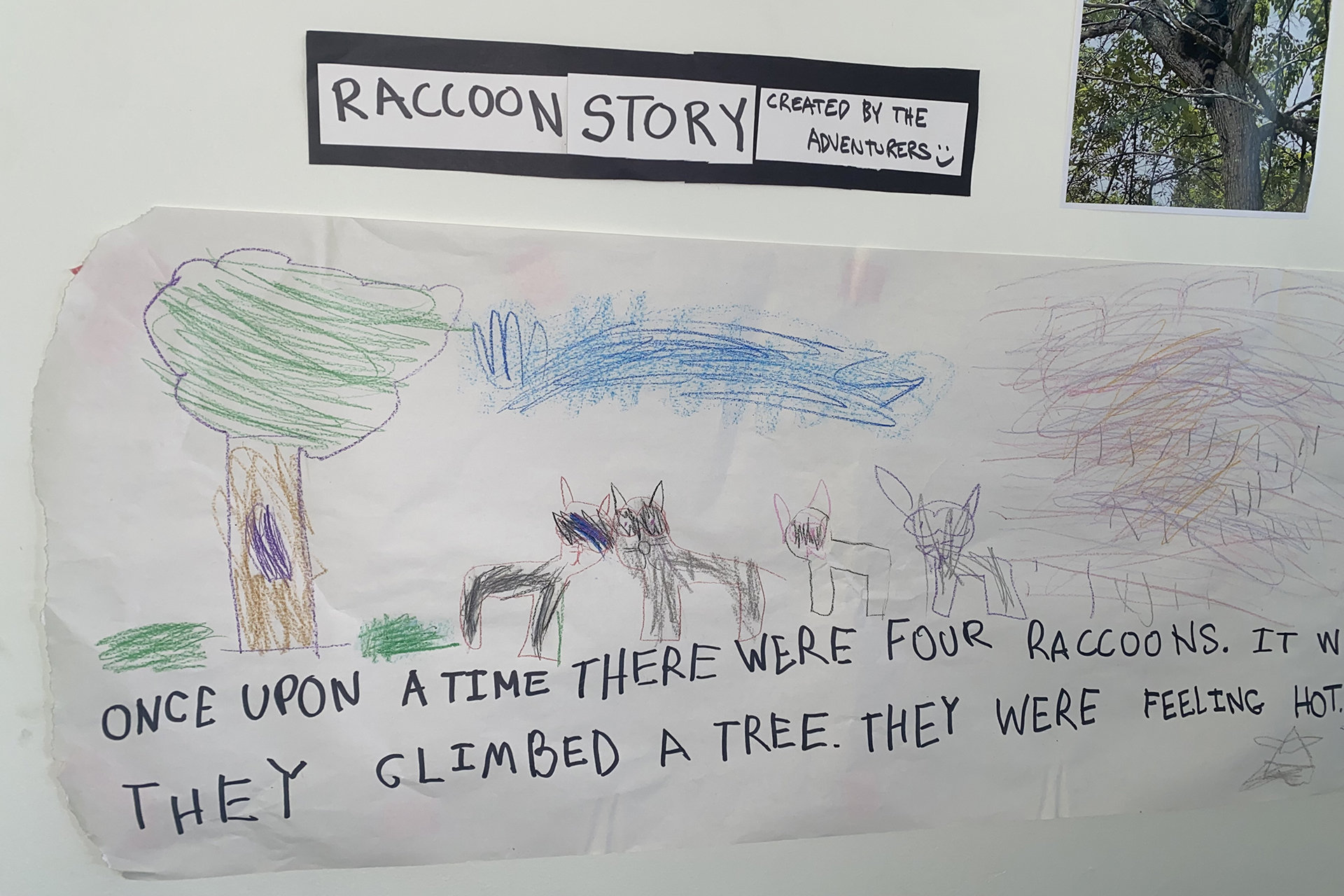 Handwritten raccoon adventure story reading "Once upon a time there were four raccoons...They climbed a tree. They were feeling hot."