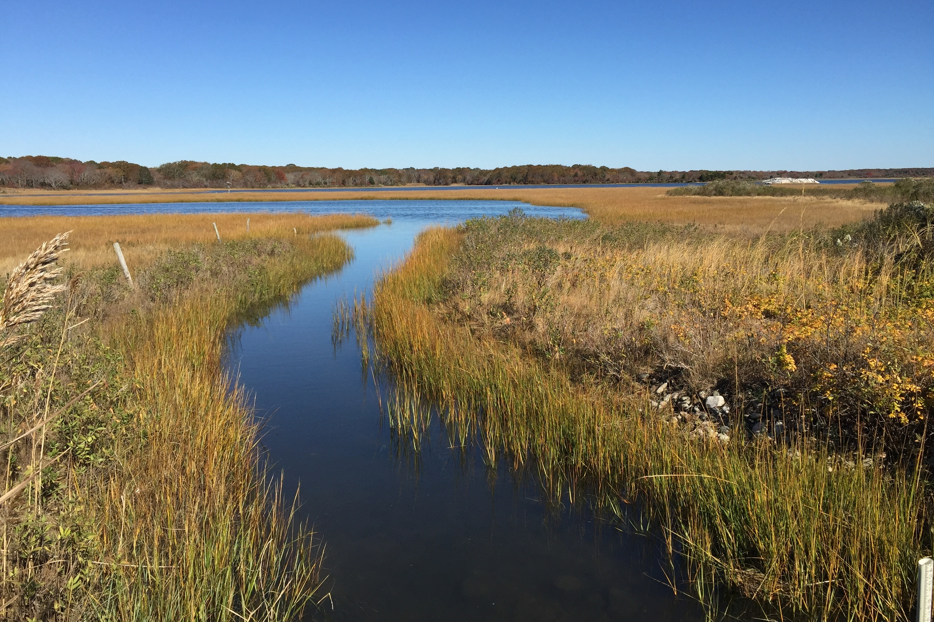 A river runs through a salt marsh