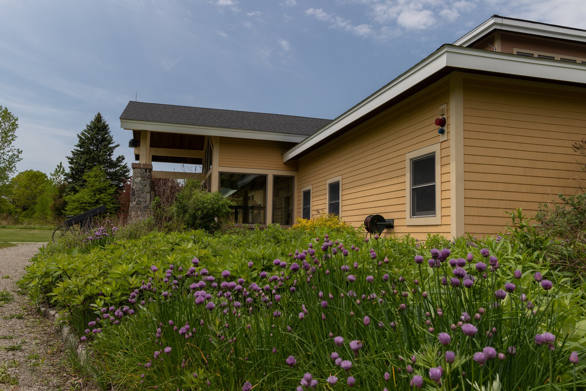 A lush green garden in front of a tan building with windows.