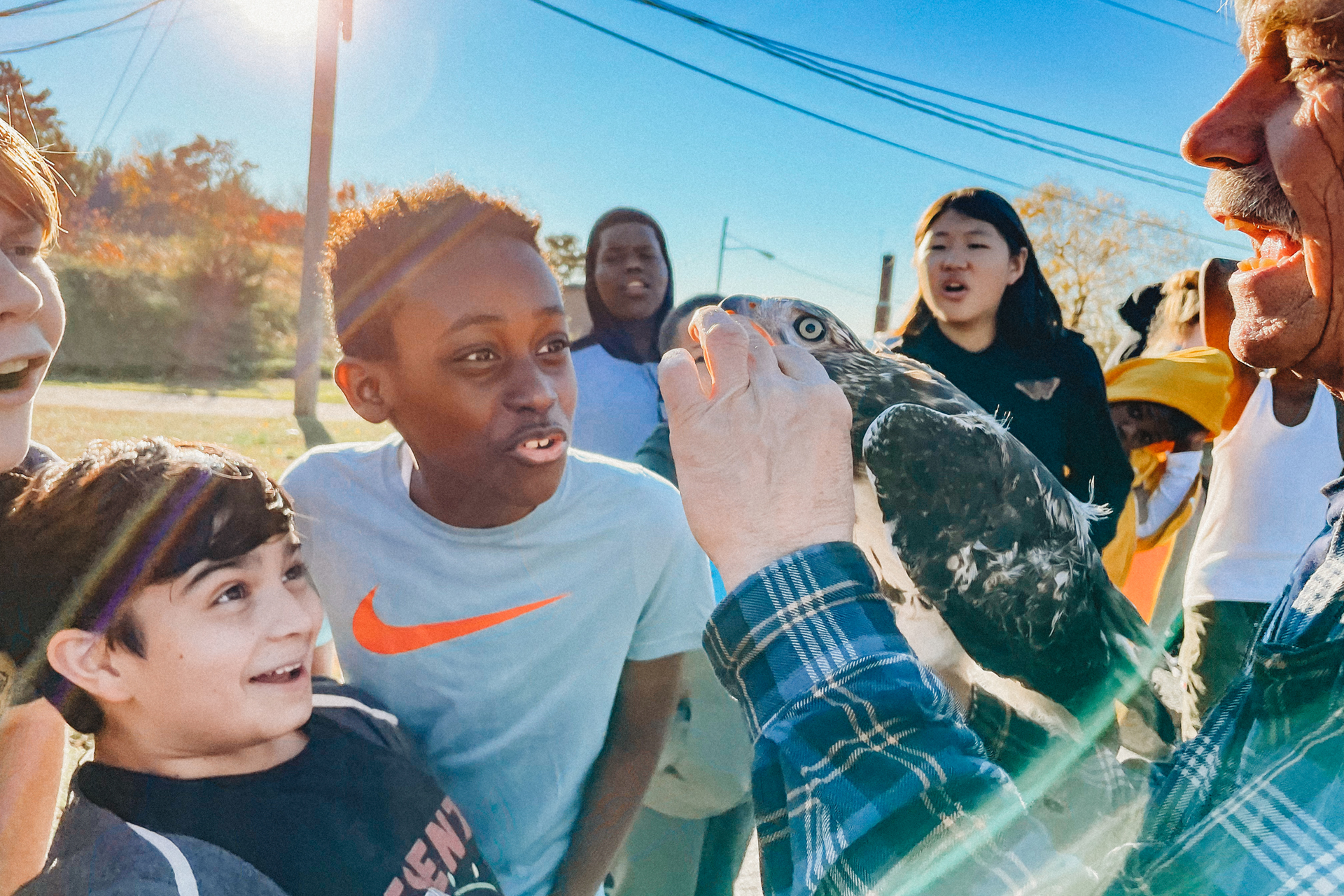 Small group of students observing a hawk shown to them by an educator