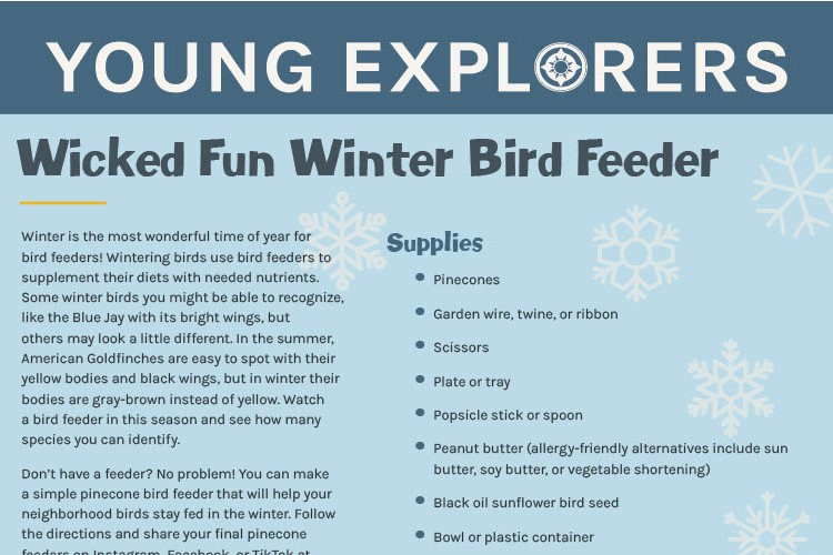 Preview of activity sheet for Wicked Fun Winter Bird Feeder