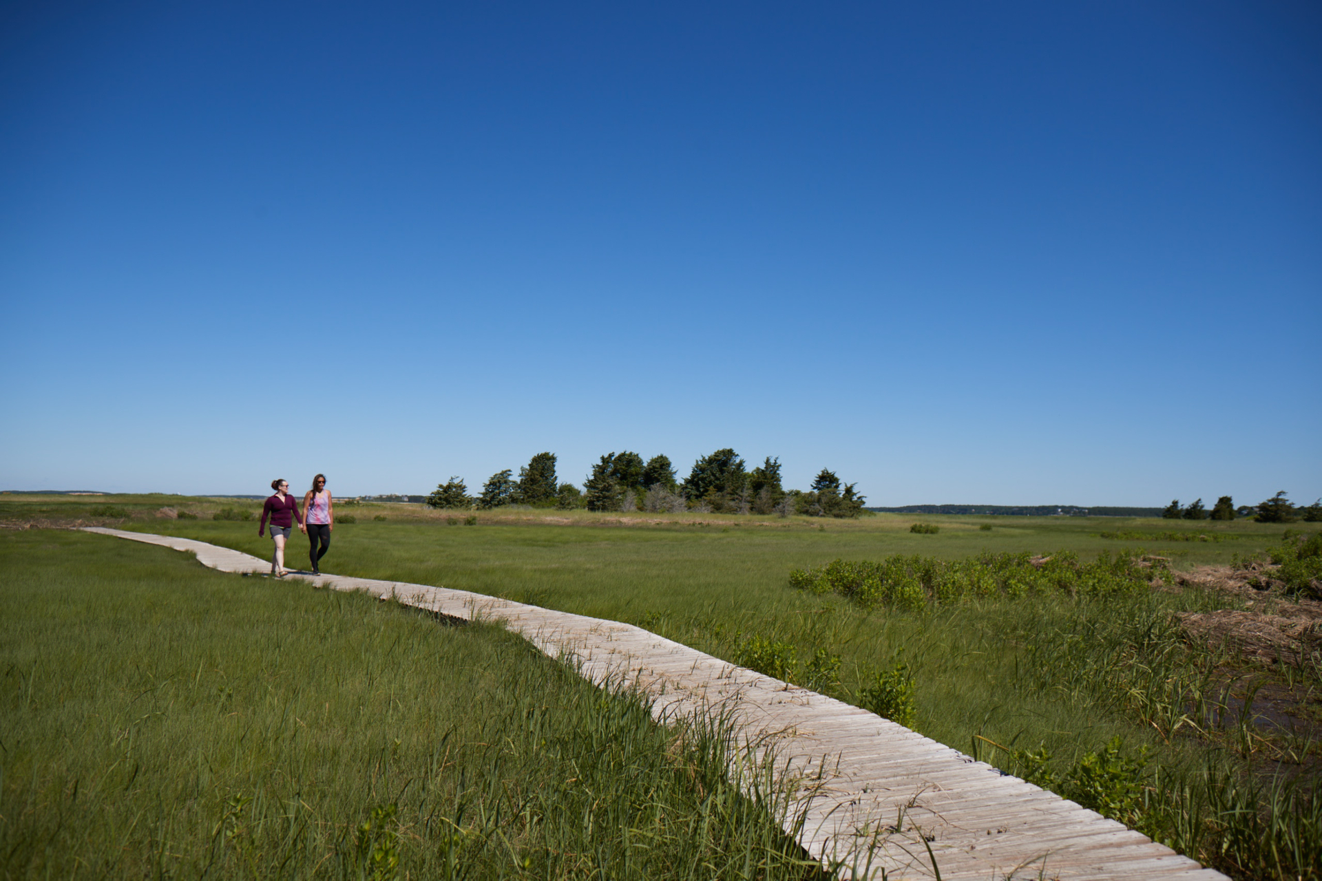 Two adults on boardwalk trail with open sky