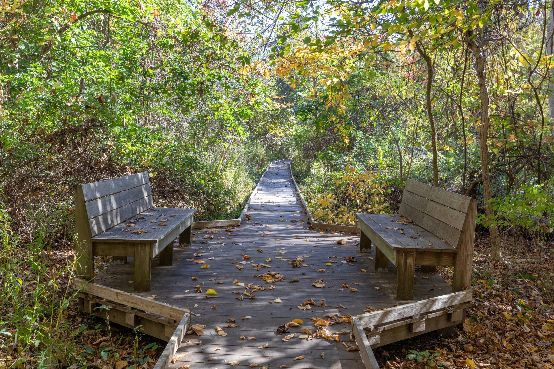 Two benches facing each other on a boardwalk