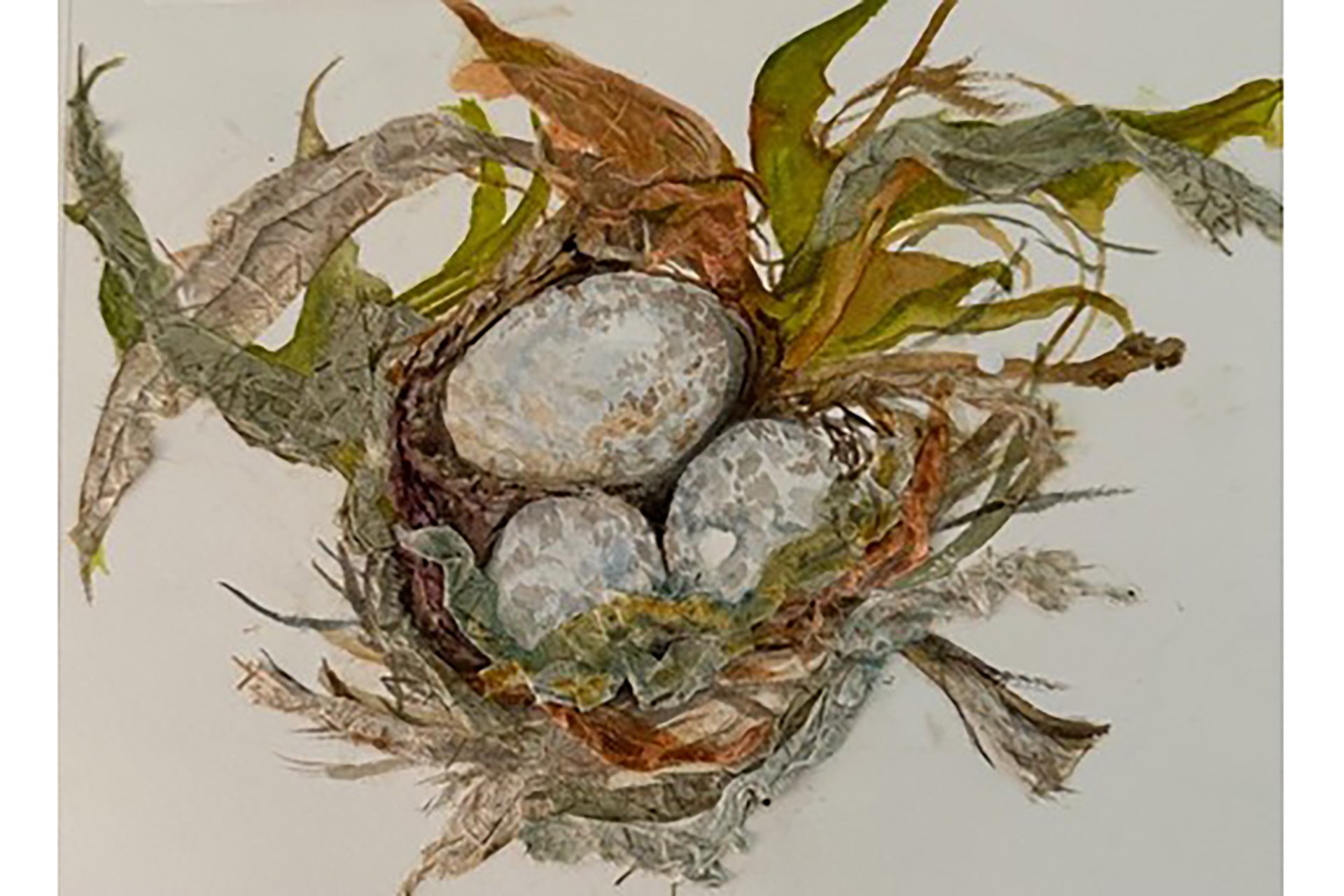 Painting of a bird's nest with eggs inside