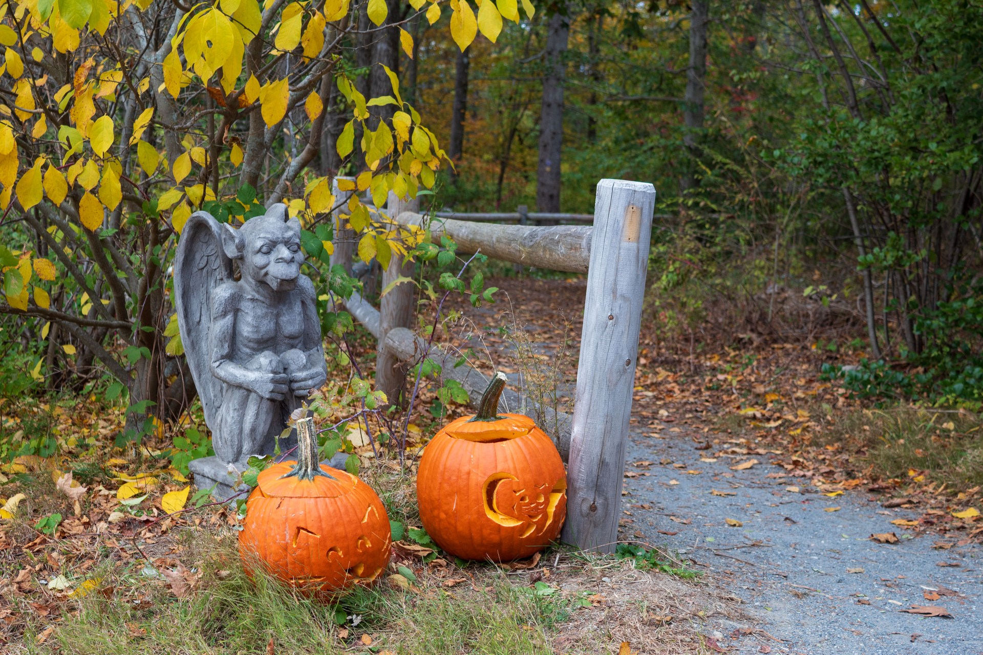 Gargoyle and two pumpkins next to a trail