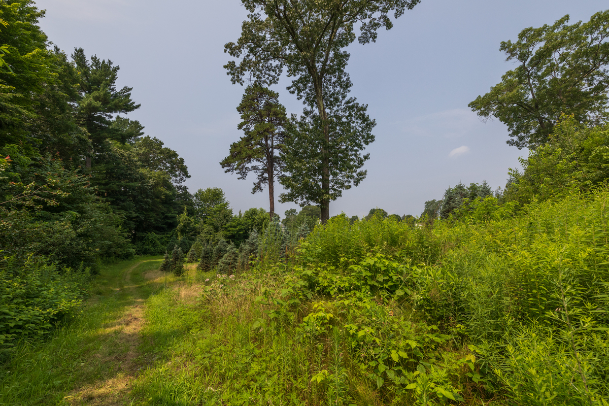 Pawtucket trail