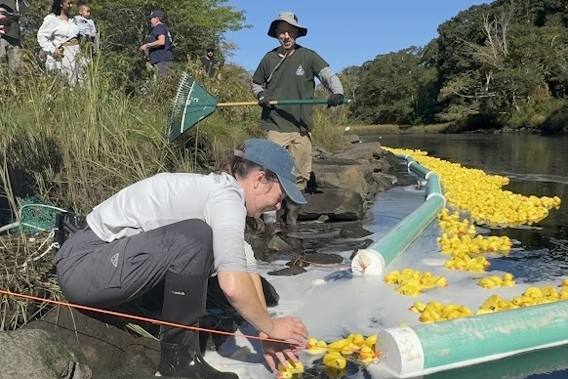 Allens Pond staff collecting the winning Duck Derby duck from the finish line