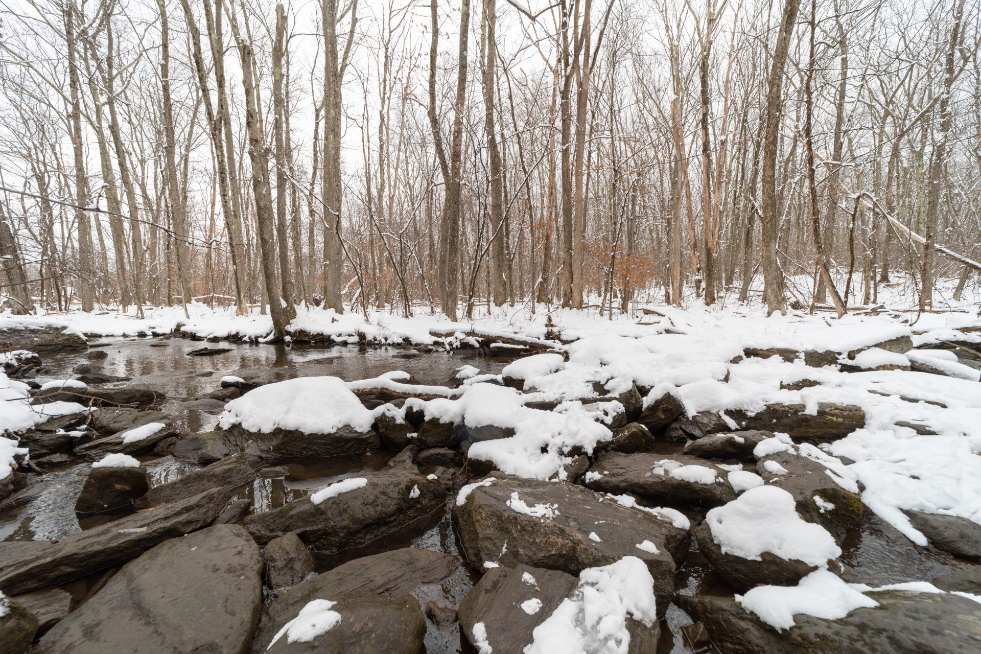 snow covered rocks by a winter river