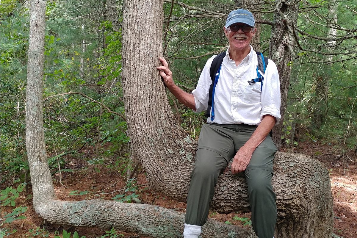 Man with a white mustache and blue hat sitting in a tree.