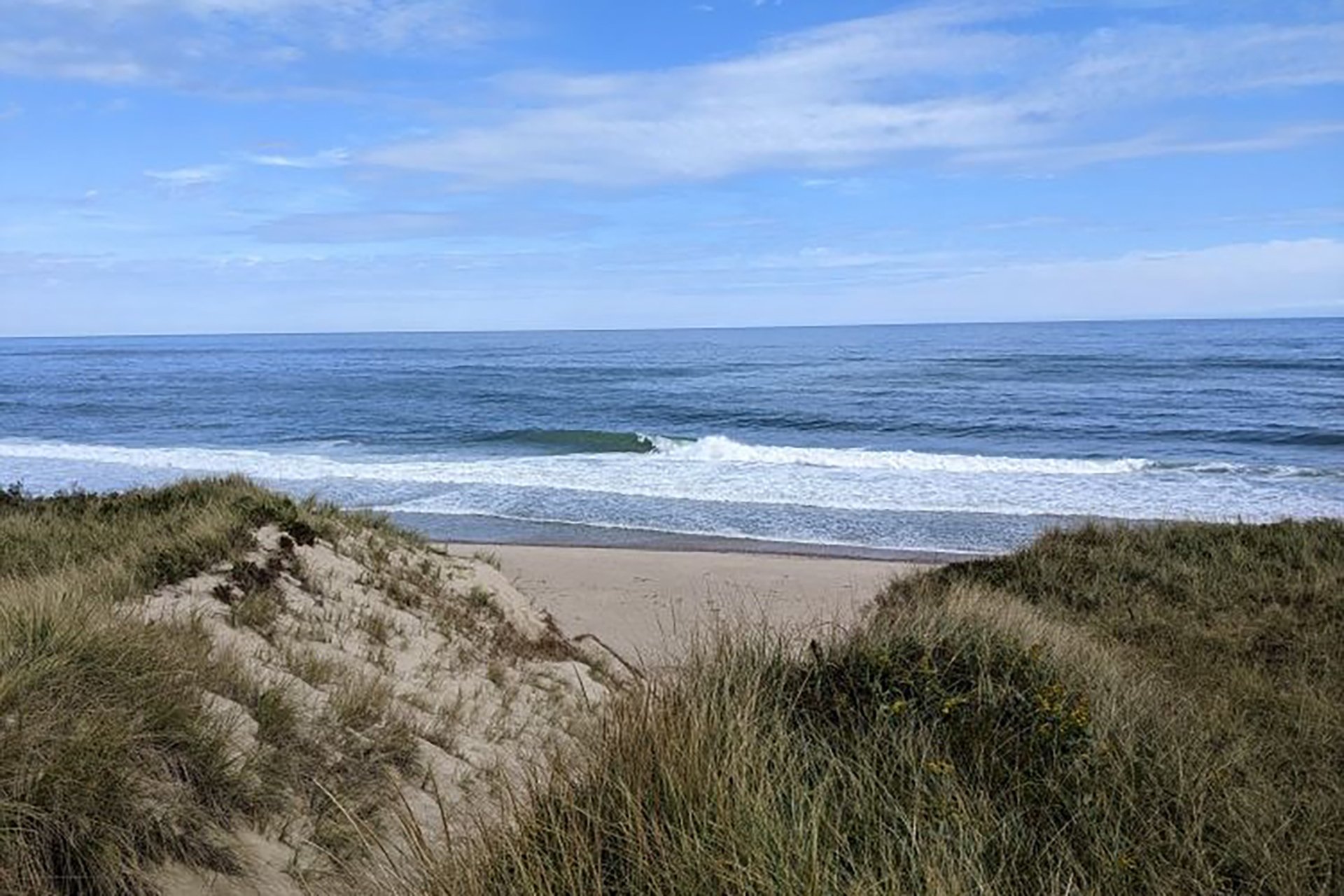 Atlantic Ocean beyond grassy sand dunes