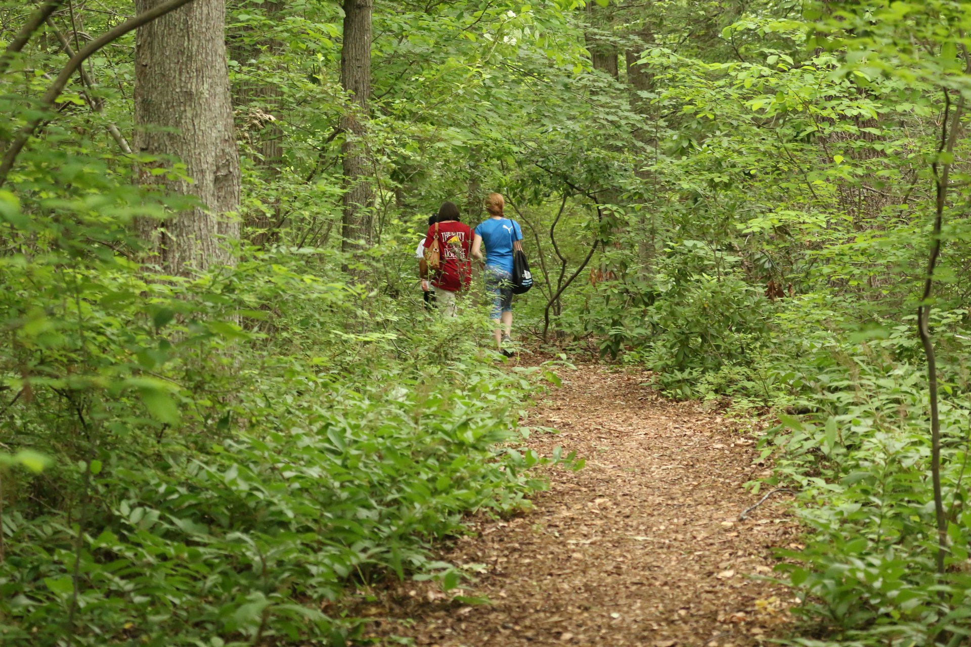 People on trail during summer at Habitat