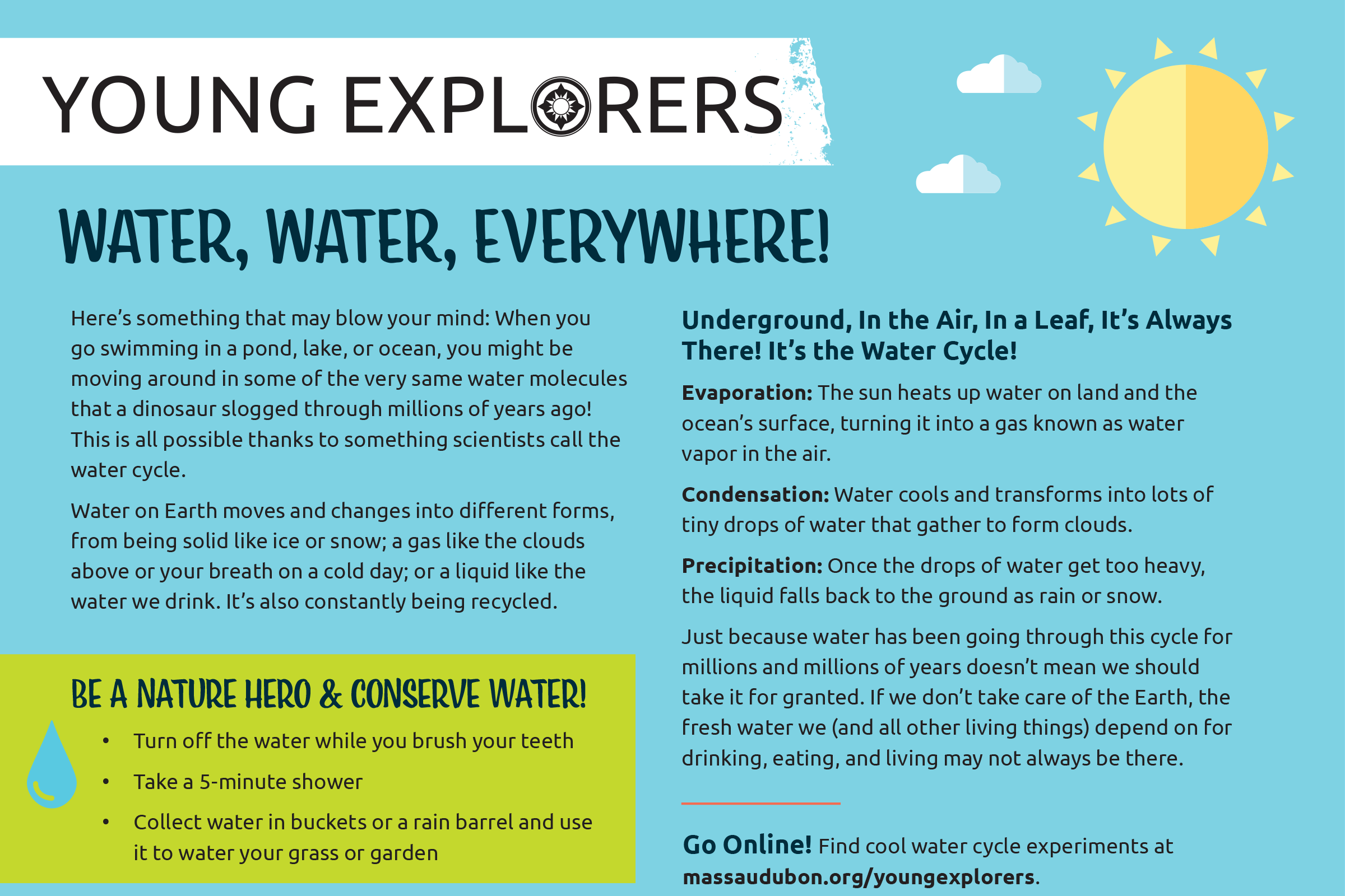 Preview of Water, Water, Everywhere Activity Sheet