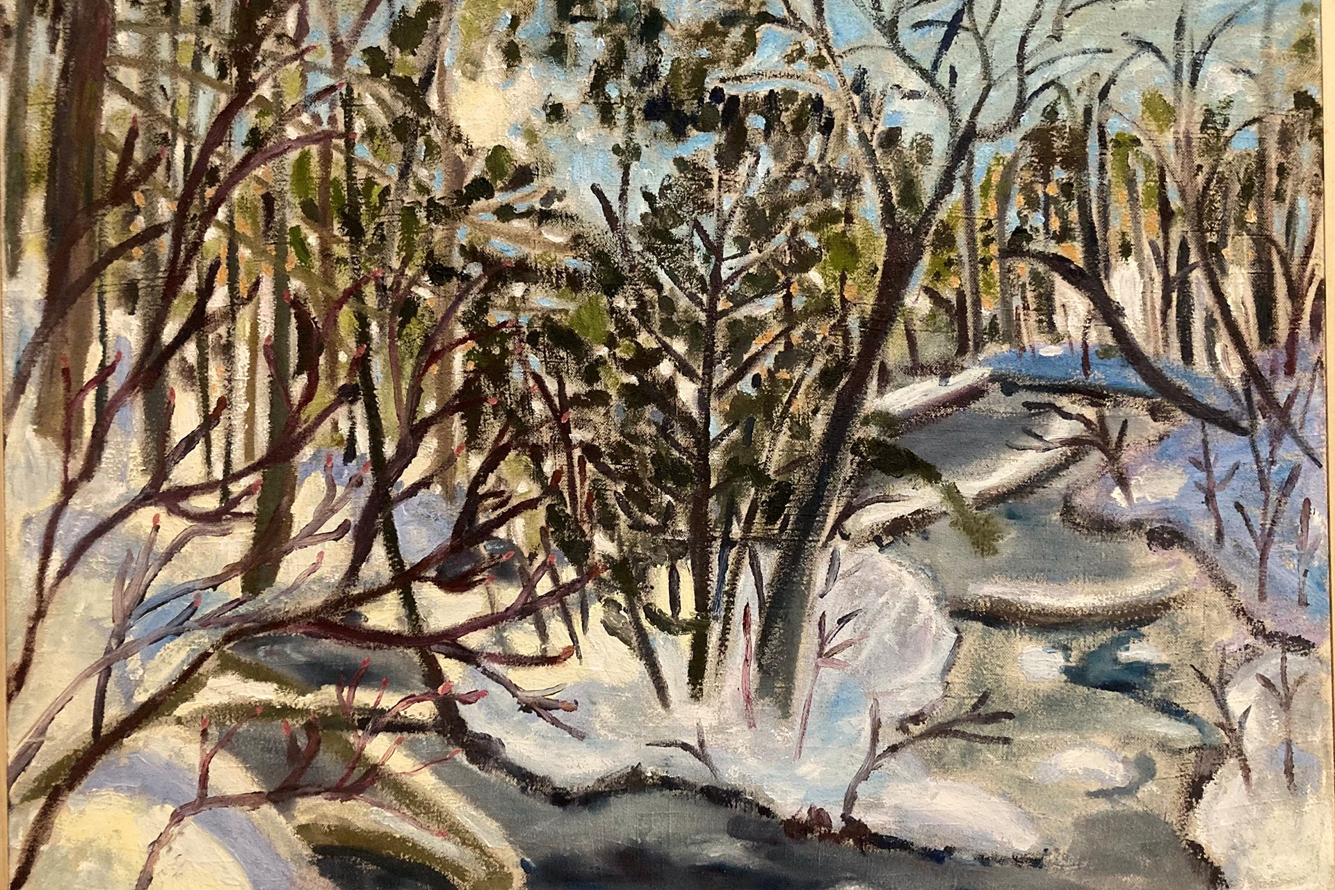 Landscape of a snowy brook surrounded by trees