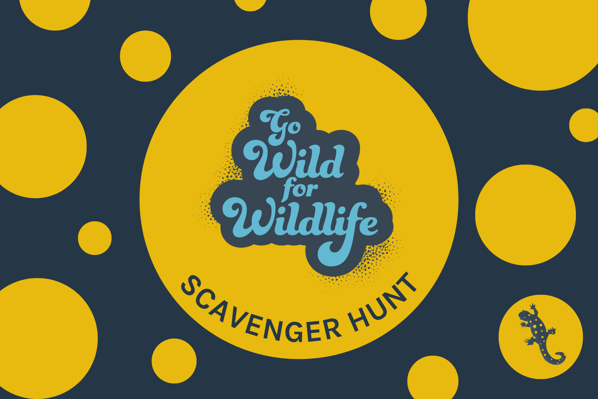 Salamander scavenger hunt preview graphic