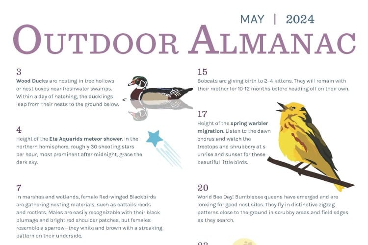 Preview of top half of outdoor almanac