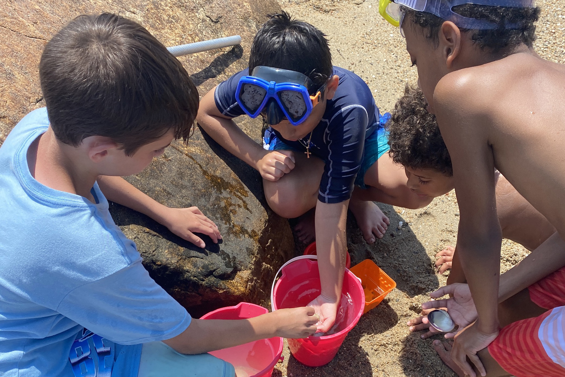 Campers looking at shells in buckets