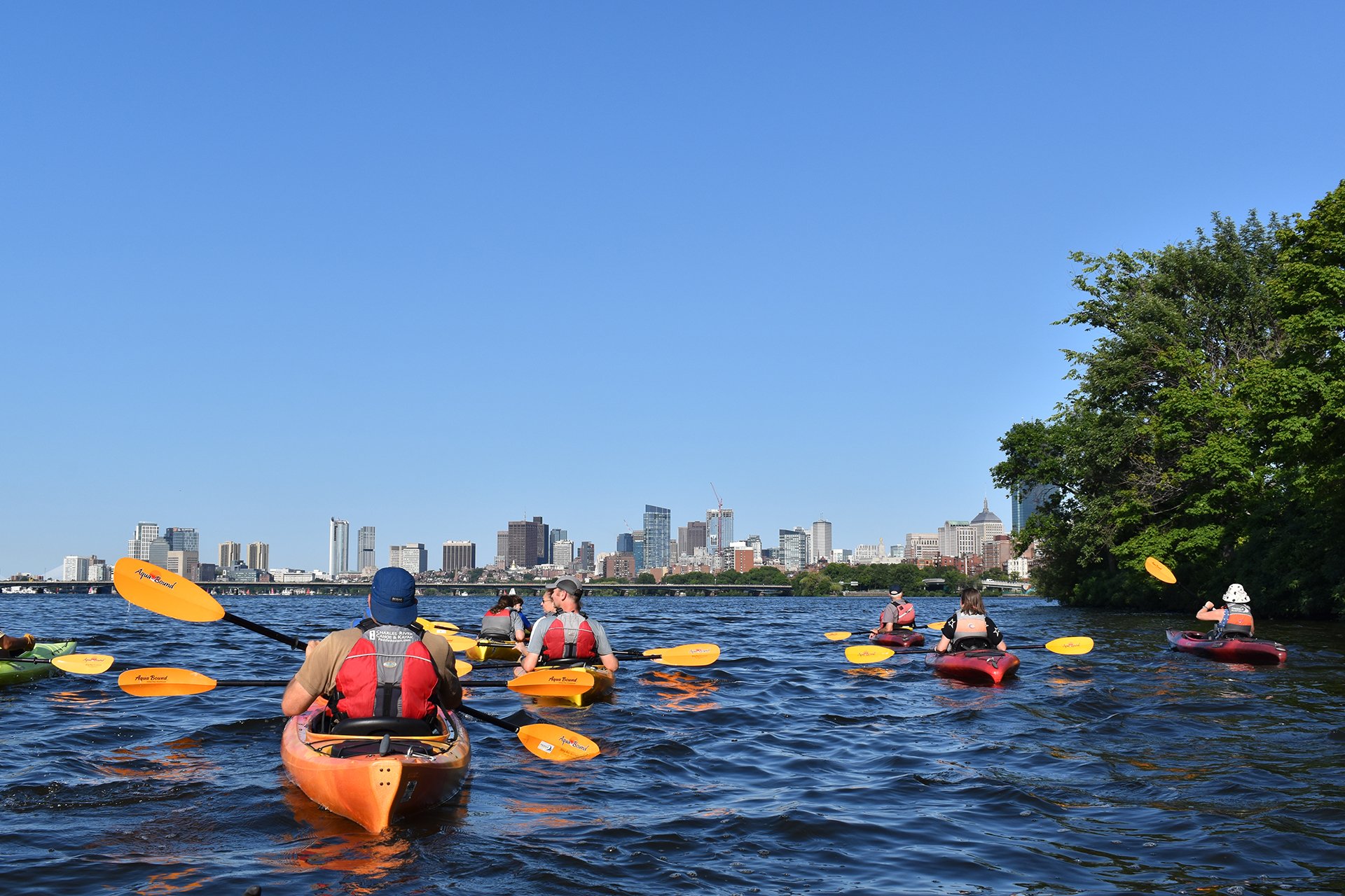Small group paddling on the Charles River on a clear day