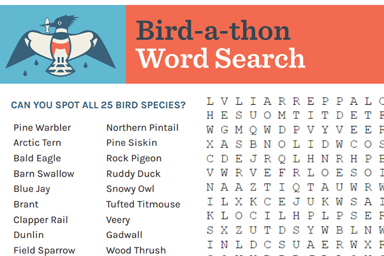 Graphic of word search