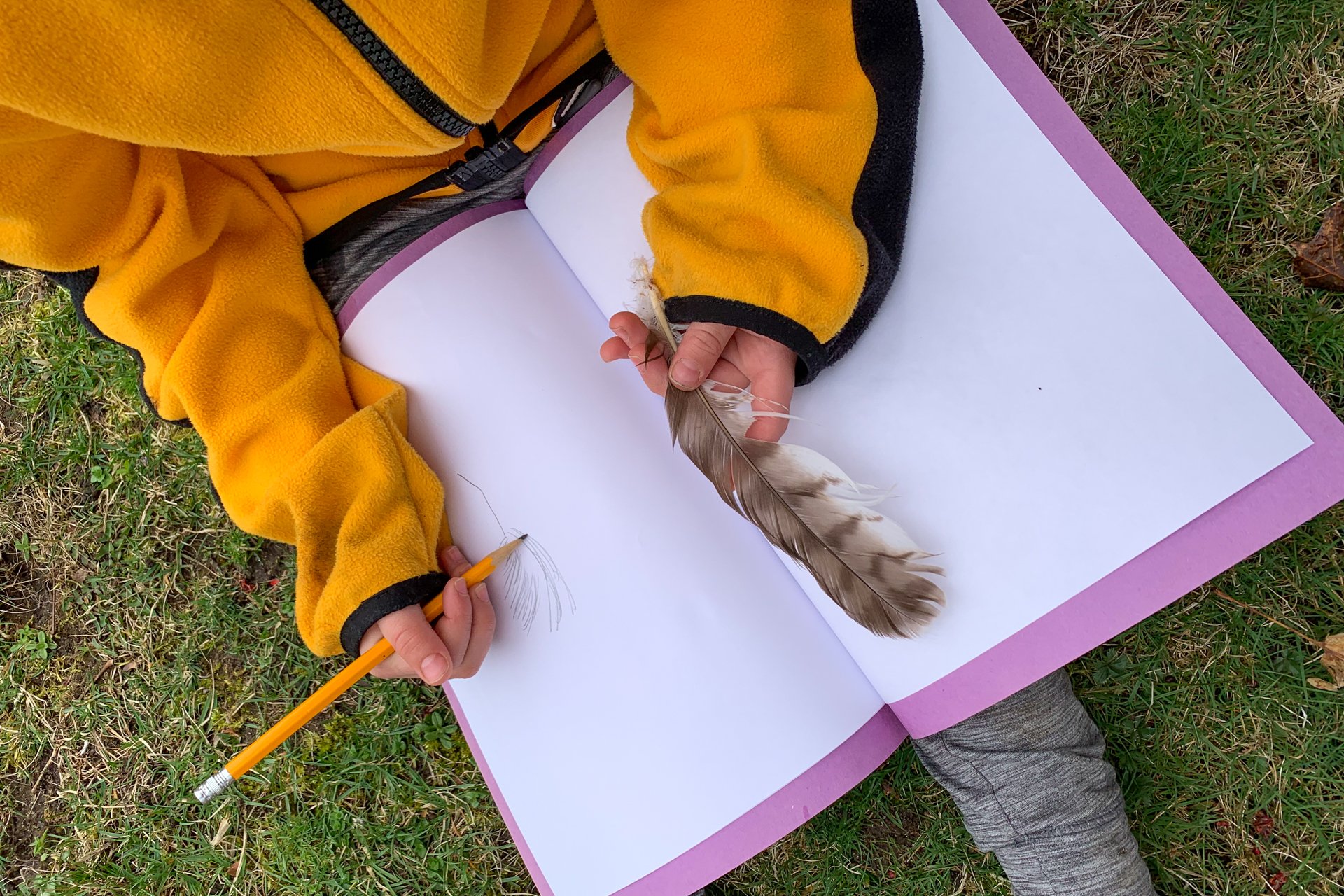 child draws feather in notebook