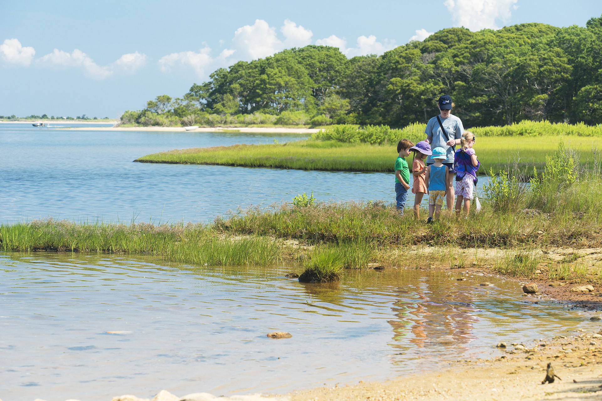 An educator and small group of children standing at the edge of the water