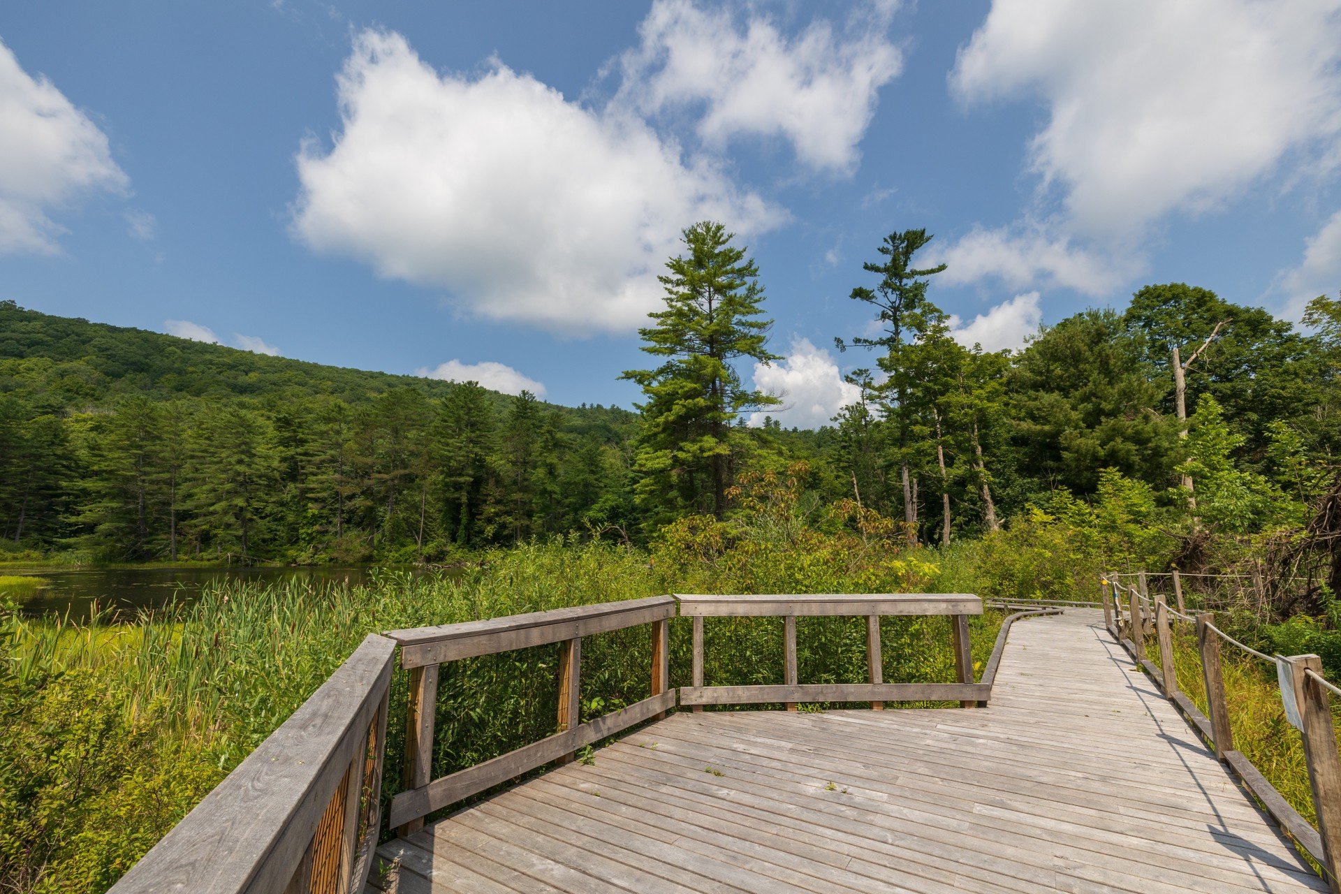 boardwalk trail with open sky