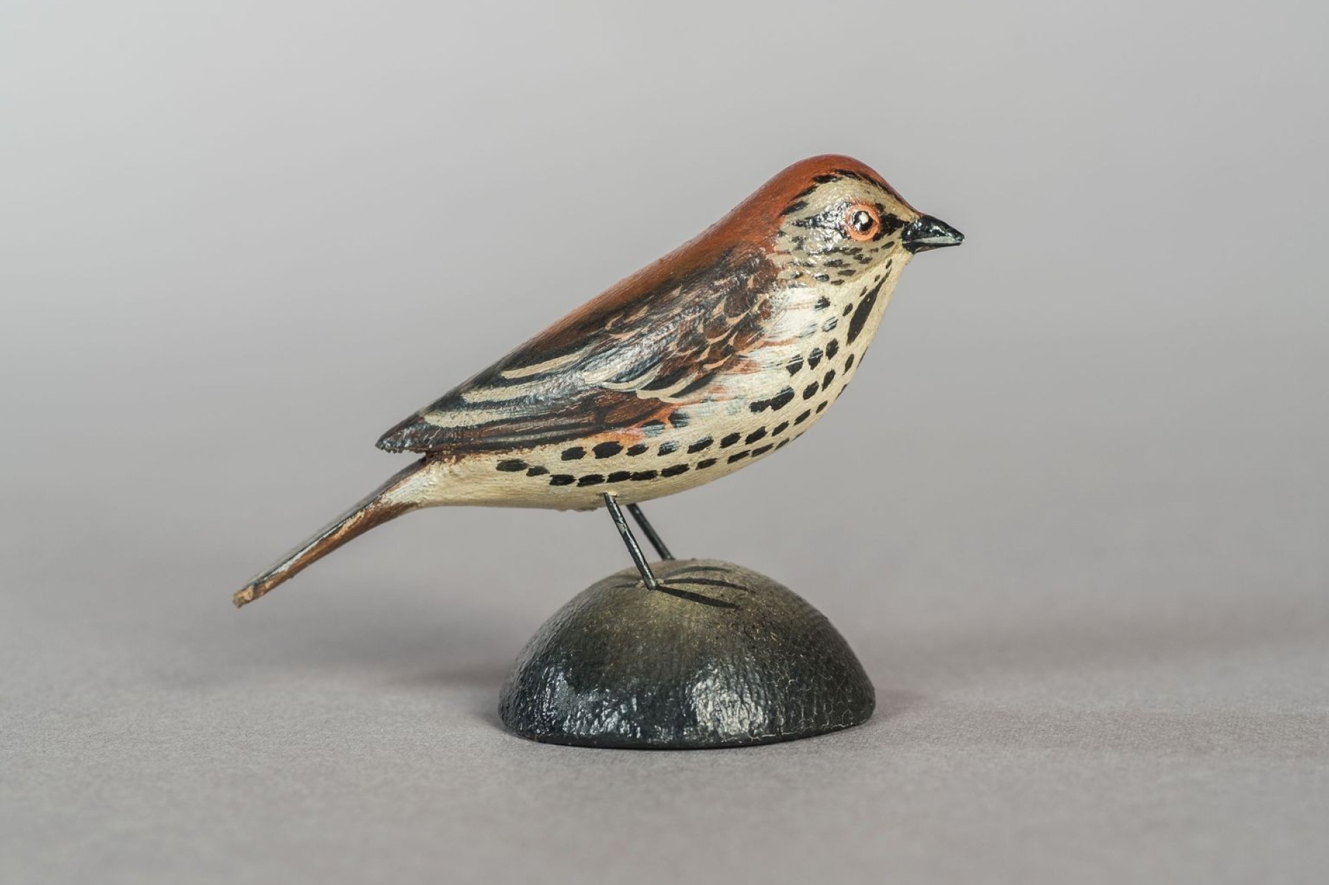 Wood thrush figure art