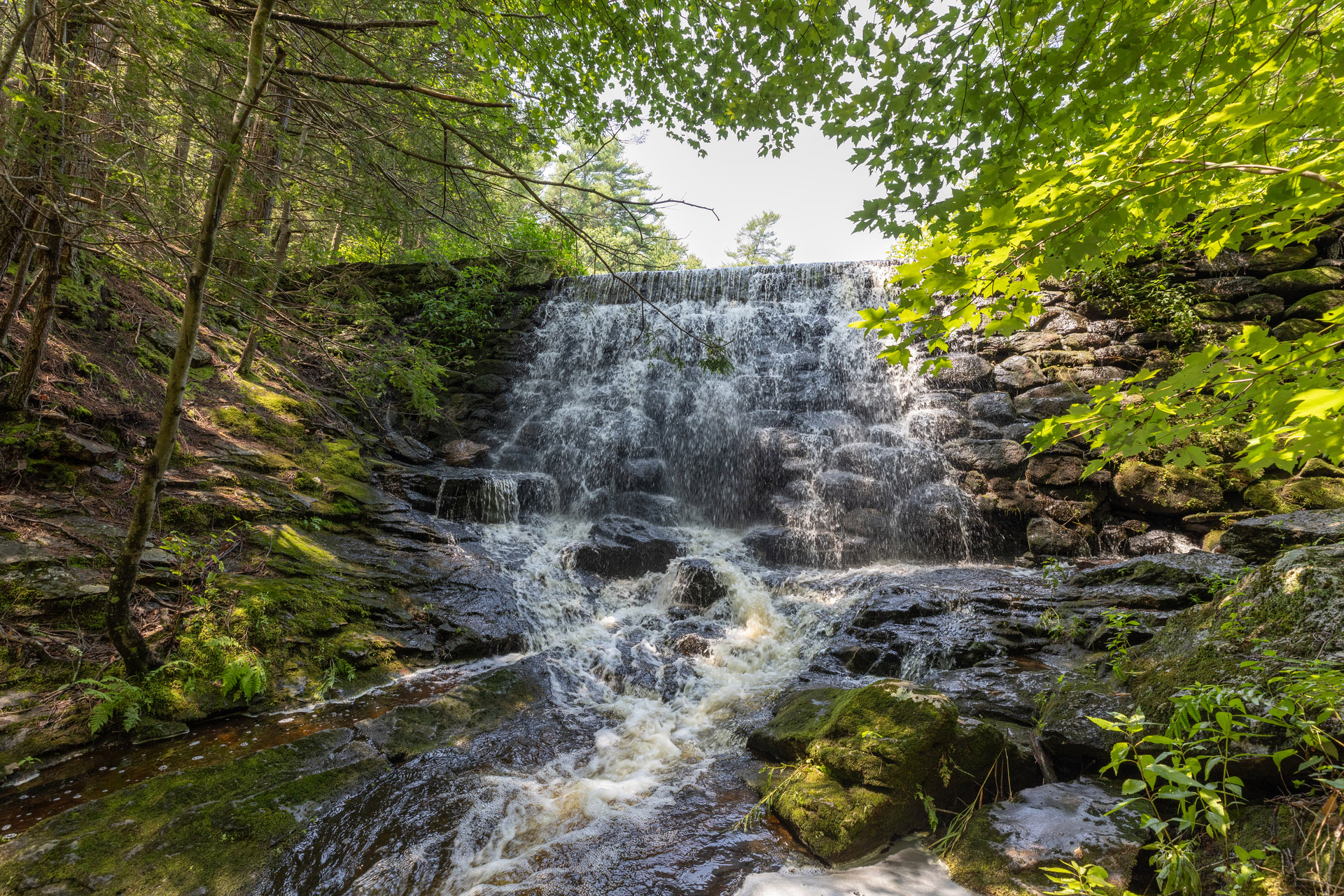 Green leaves frame the photo around a waterfall in a forest.