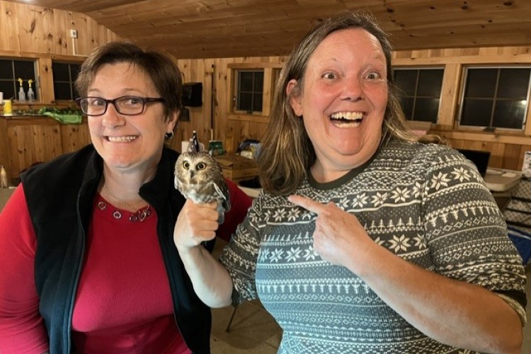 gwen with owl